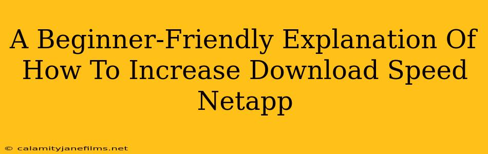 A Beginner-Friendly Explanation Of How To Increase Download Speed Netapp