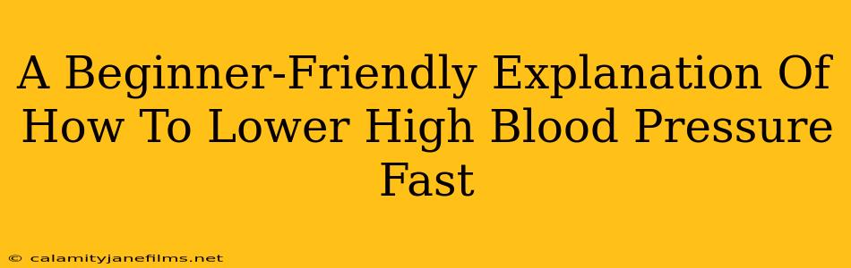 A Beginner-Friendly Explanation Of How To Lower High Blood Pressure Fast