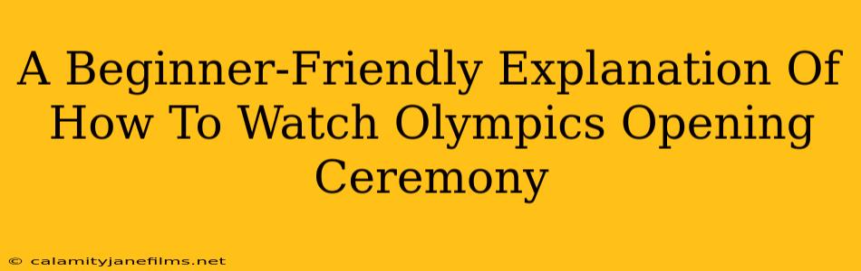 A Beginner-Friendly Explanation Of How To Watch Olympics Opening Ceremony