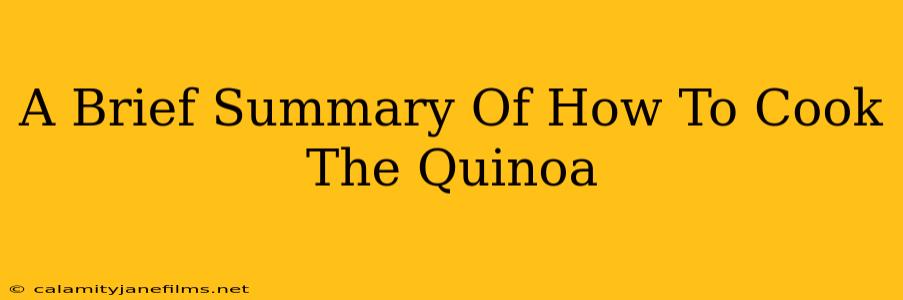 A Brief Summary Of How To Cook The Quinoa