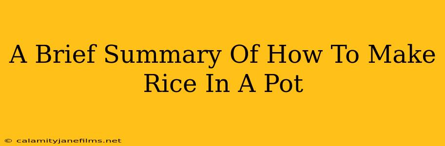 A Brief Summary Of How To Make Rice In A Pot