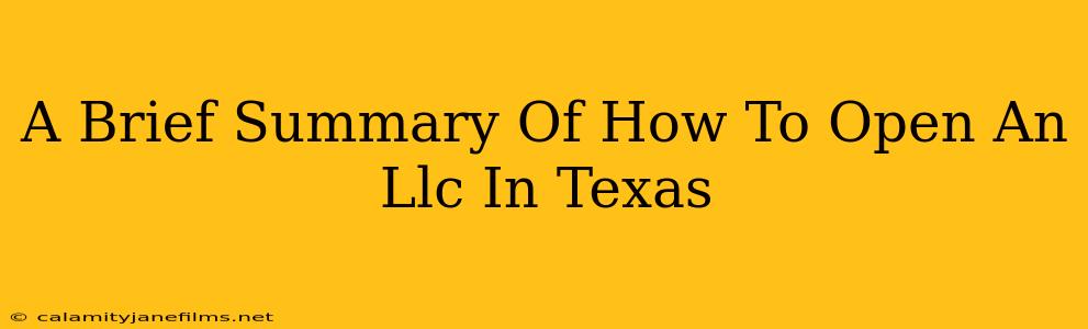 A Brief Summary Of How To Open An Llc In Texas