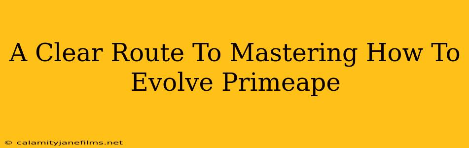 A Clear Route To Mastering How To Evolve Primeape