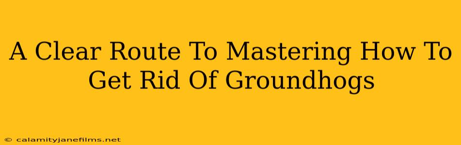 A Clear Route To Mastering How To Get Rid Of Groundhogs