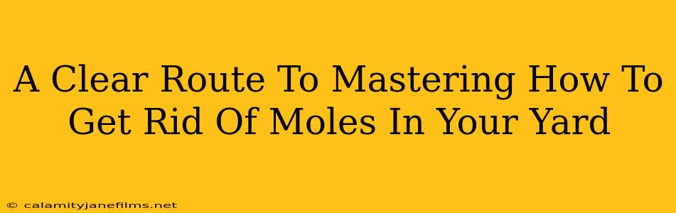 A Clear Route To Mastering How To Get Rid Of Moles In Your Yard