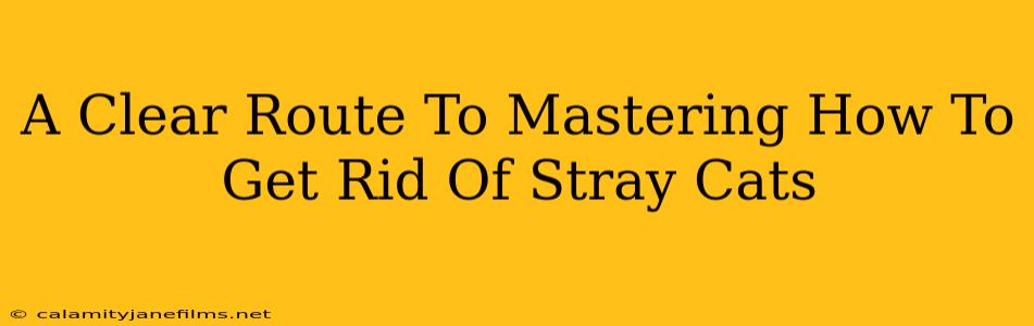 A Clear Route To Mastering How To Get Rid Of Stray Cats