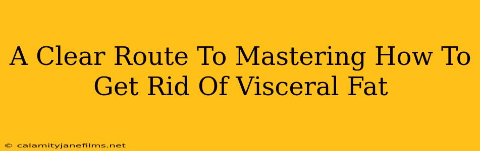 A Clear Route To Mastering How To Get Rid Of Visceral Fat