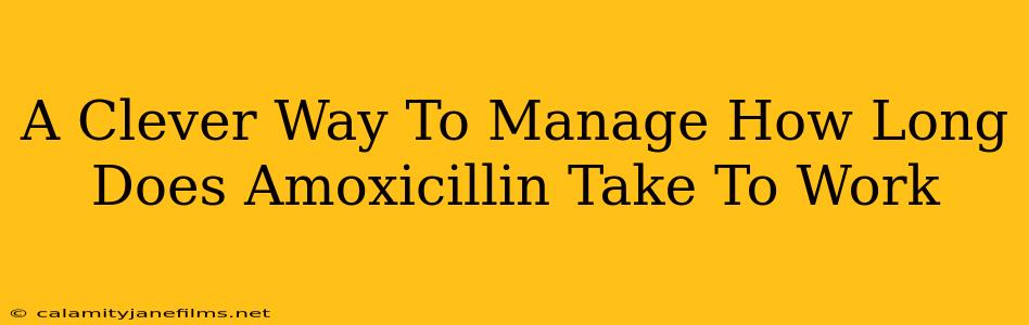 A Clever Way To Manage How Long Does Amoxicillin Take To Work