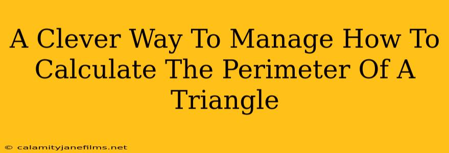 A Clever Way To Manage How To Calculate The Perimeter Of A Triangle