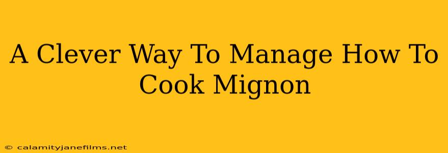 A Clever Way To Manage How To Cook Mignon