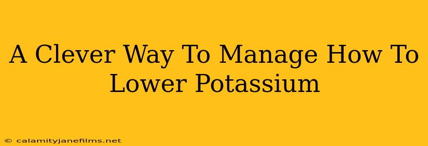 A Clever Way To Manage How To Lower Potassium