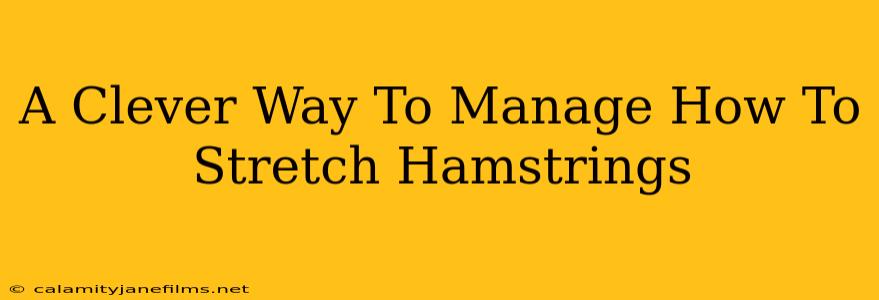 A Clever Way To Manage How To Stretch Hamstrings