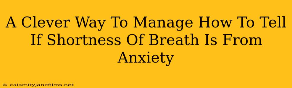 A Clever Way To Manage How To Tell If Shortness Of Breath Is From Anxiety