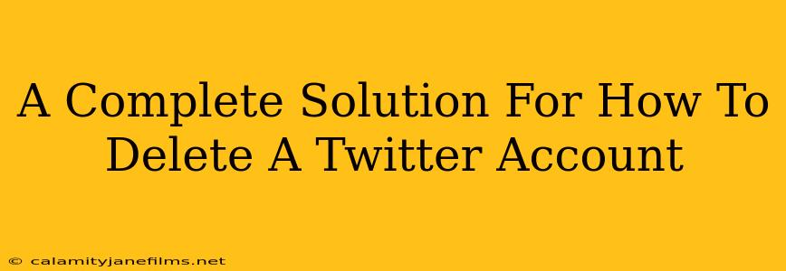 A Complete Solution For How To Delete A Twitter Account