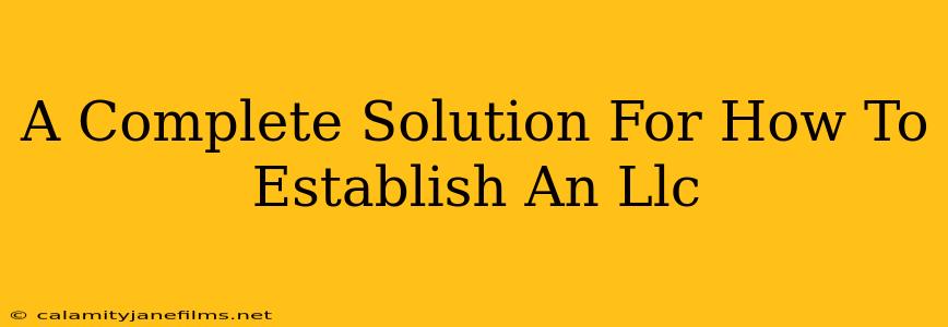 A Complete Solution For How To Establish An Llc