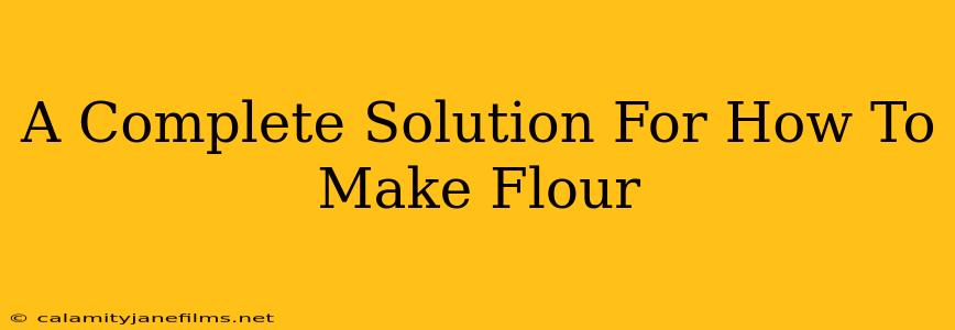 A Complete Solution For How To Make Flour