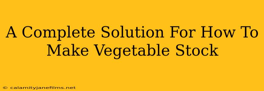 A Complete Solution For How To Make Vegetable Stock