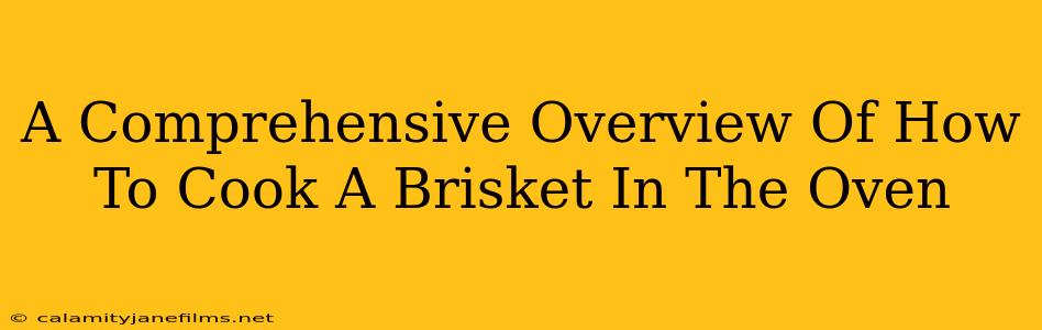 A Comprehensive Overview Of How To Cook A Brisket In The Oven