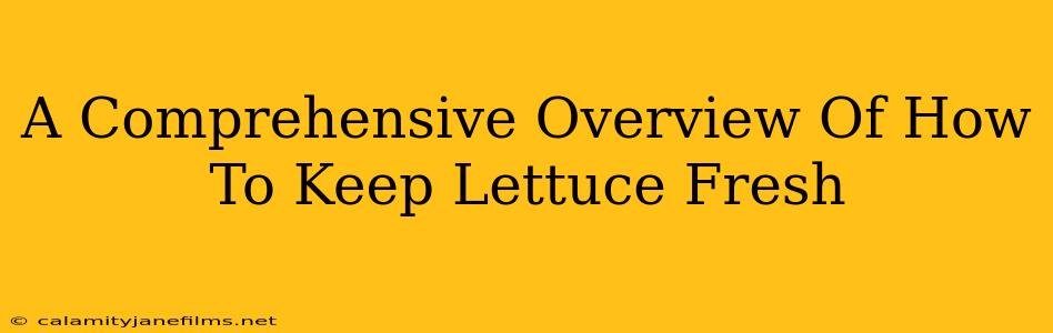 A Comprehensive Overview Of How To Keep Lettuce Fresh