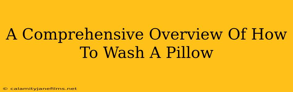 A Comprehensive Overview Of How To Wash A Pillow