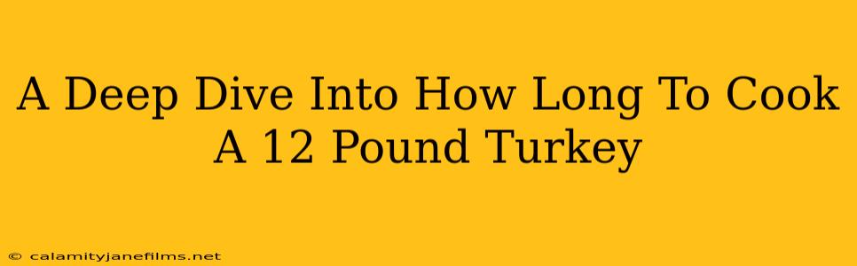 A Deep Dive Into How Long To Cook A 12 Pound Turkey