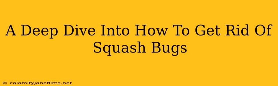 A Deep Dive Into How To Get Rid Of Squash Bugs