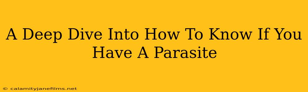 A Deep Dive Into How To Know If You Have A Parasite