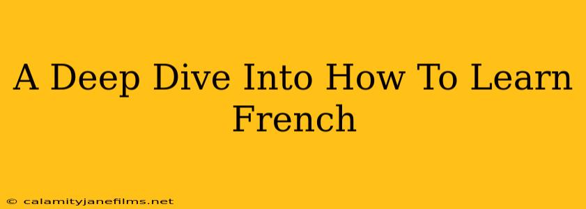 A Deep Dive Into How To Learn French