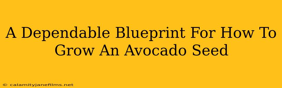 A Dependable Blueprint For How To Grow An Avocado Seed