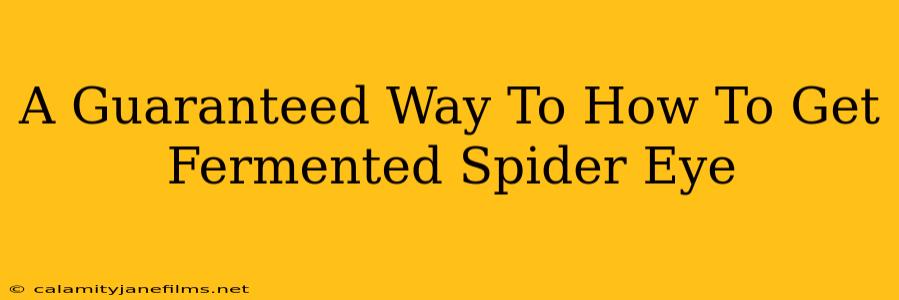 A Guaranteed Way To How To Get Fermented Spider Eye