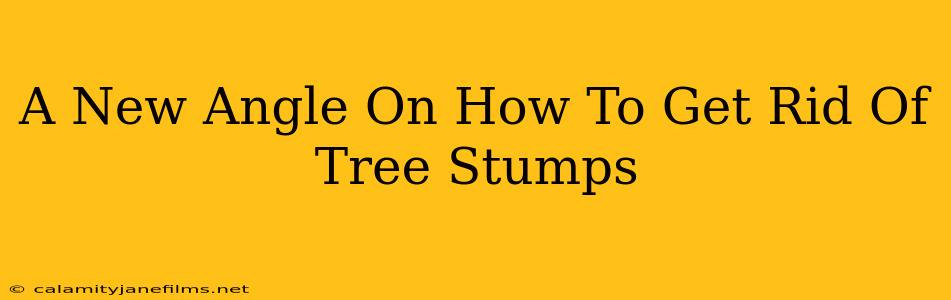 A New Angle On How To Get Rid Of Tree Stumps