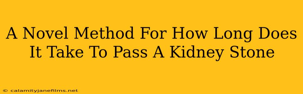 A Novel Method For How Long Does It Take To Pass A Kidney Stone