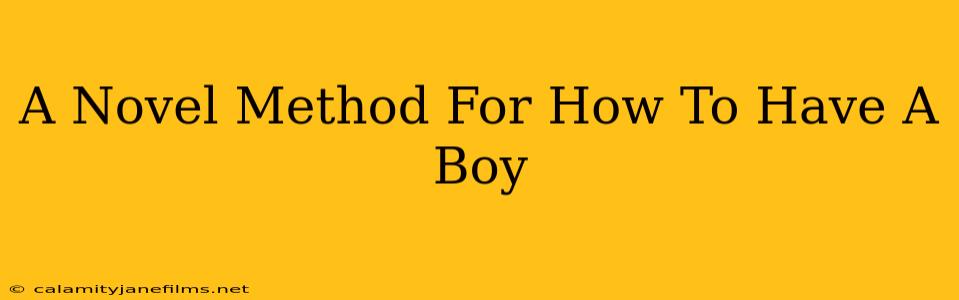 A Novel Method For How To Have A Boy