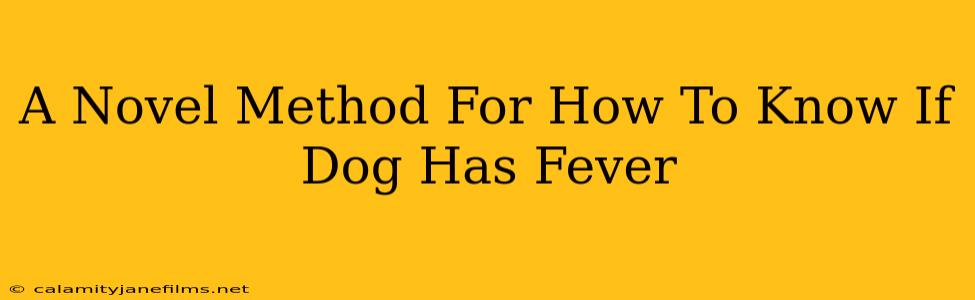 A Novel Method For How To Know If Dog Has Fever