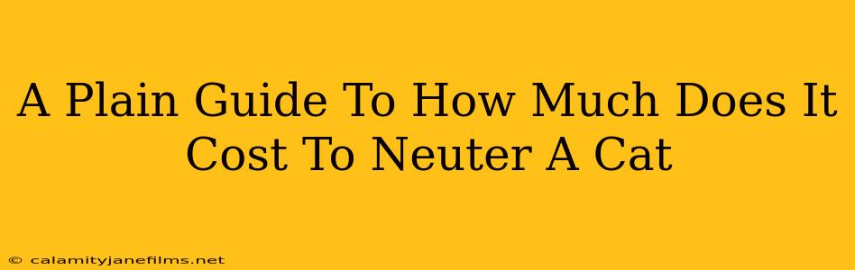 A Plain Guide To How Much Does It Cost To Neuter A Cat