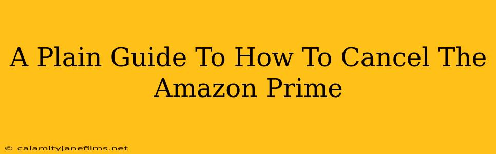 A Plain Guide To How To Cancel The Amazon Prime