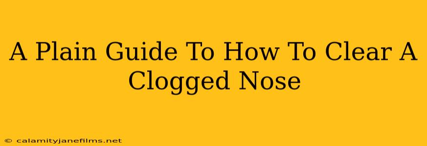 A Plain Guide To How To Clear A Clogged Nose