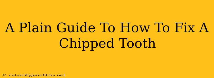 A Plain Guide To How To Fix A Chipped Tooth