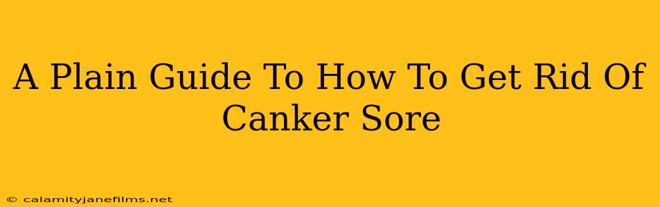 A Plain Guide To How To Get Rid Of Canker Sore