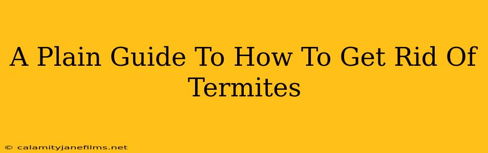 A Plain Guide To How To Get Rid Of Termites