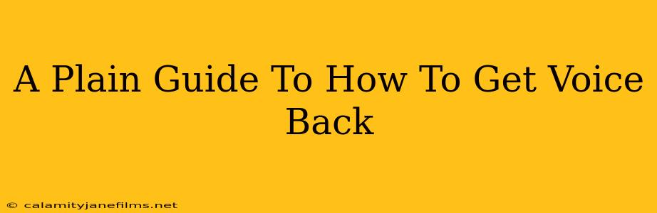 A Plain Guide To How To Get Voice Back