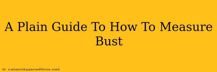 A Plain Guide To How To Measure Bust