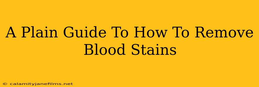 A Plain Guide To How To Remove Blood Stains