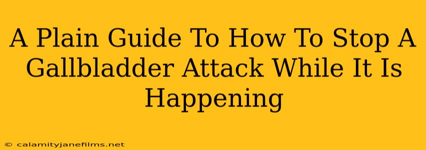 A Plain Guide To How To Stop A Gallbladder Attack While It Is Happening