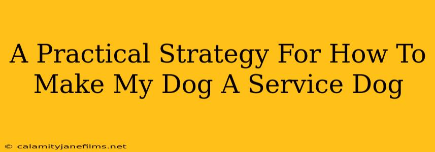 A Practical Strategy For How To Make My Dog A Service Dog