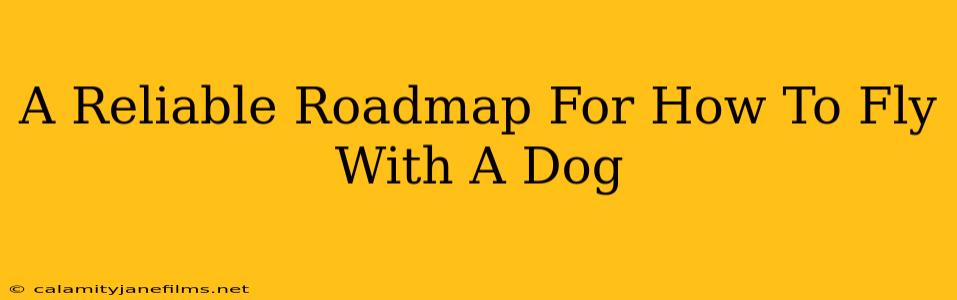 A Reliable Roadmap For How To Fly With A Dog