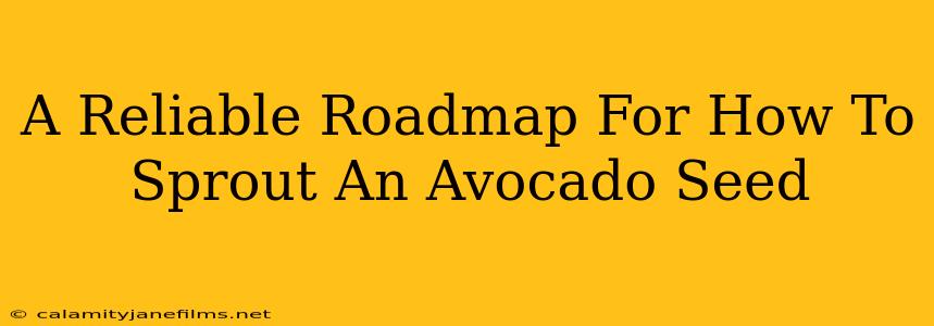 A Reliable Roadmap For How To Sprout An Avocado Seed