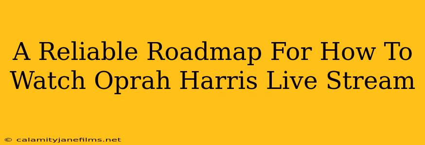 A Reliable Roadmap For How To Watch Oprah Harris Live Stream