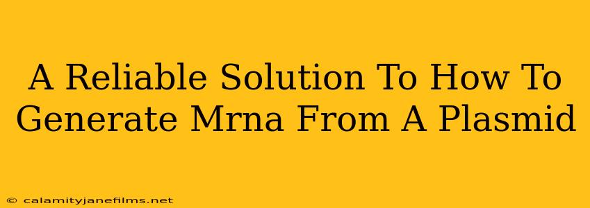 A Reliable Solution To How To Generate Mrna From A Plasmid