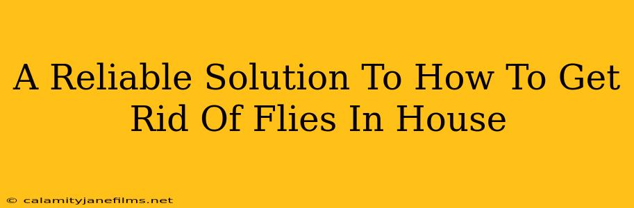 A Reliable Solution To How To Get Rid Of Flies In House